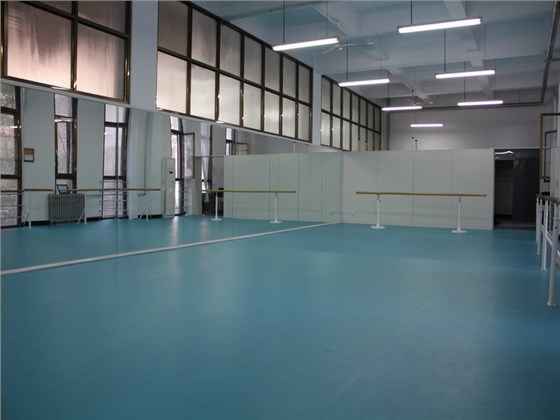 舞蹈室塑膠地板400-969-3022