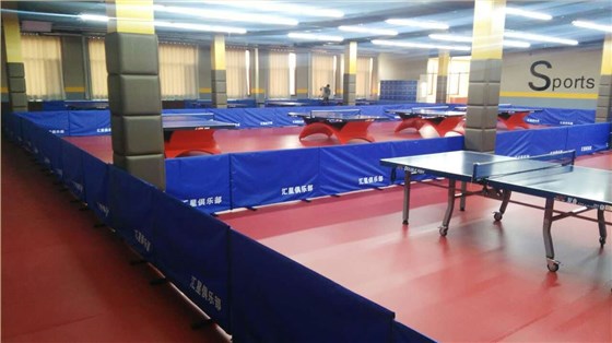 乒乓球場地運動地板