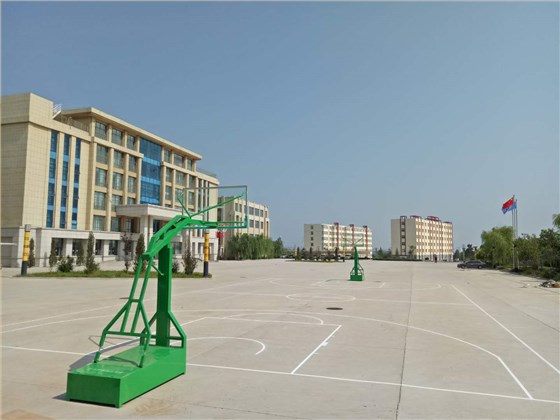 星潤仿液壓籃球架