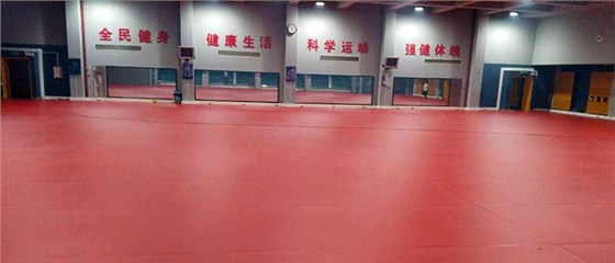 北京奧林匹克體育中心擊劍館運動地板效果圖