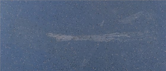 PVC地板有劃痕如何修復