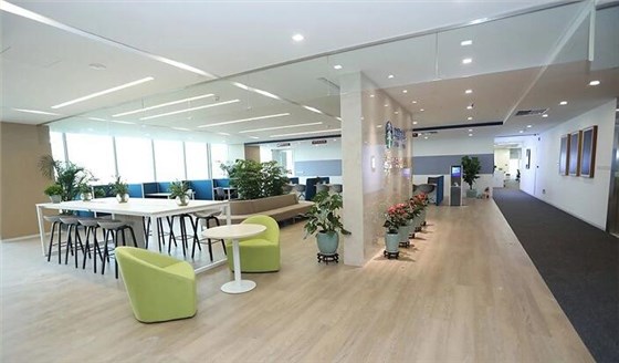 辦公室spc地板1