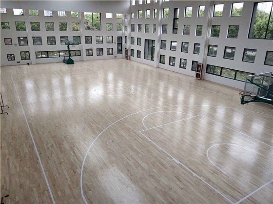 體育場館運動木地板