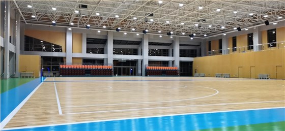 籃球場運(yùn)動木地板
