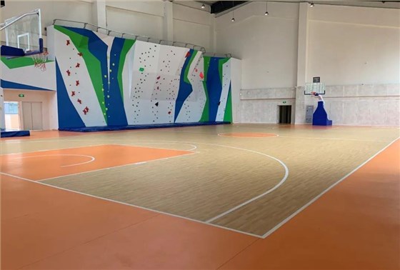 籃球場運動地板