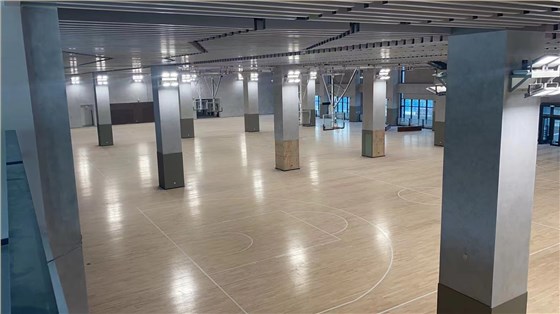 體育場館運動木地板