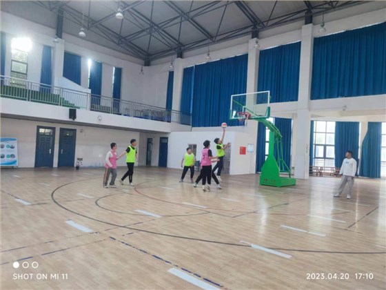 籃球運動地板
