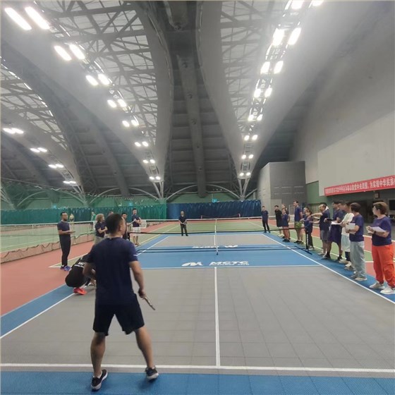 匹克球運動地板