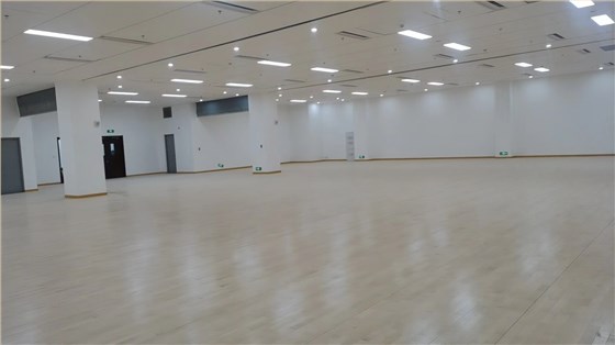 運(yùn)動(dòng)木地板