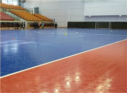 室內五人制足球懸浮拼裝地板