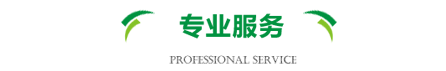 專業服務