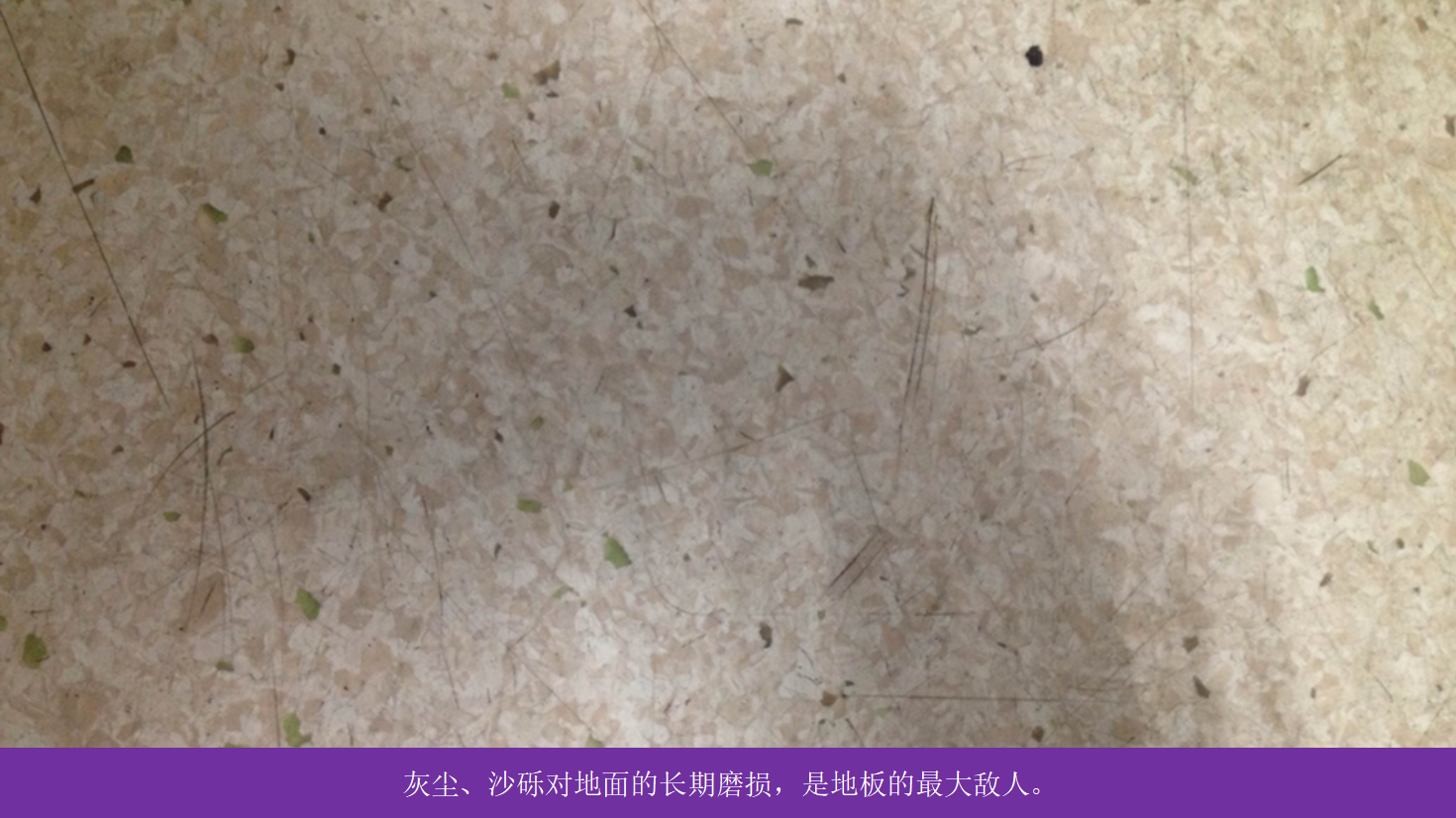 QQ截圖20171106162519