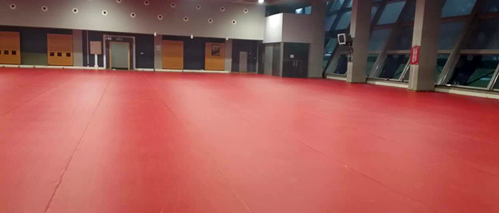 北京奧林匹克體育中心擊劍館運(yùn)動(dòng)地板效果圖