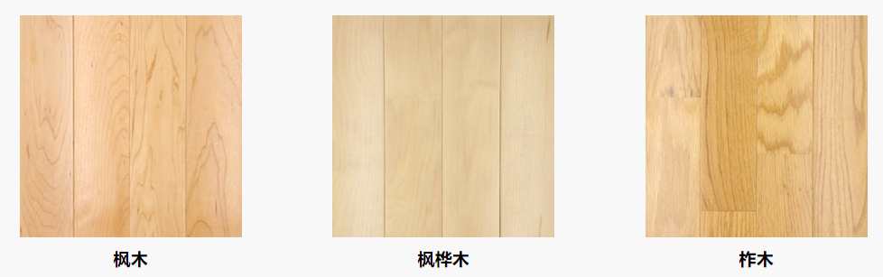 運動木地板面層