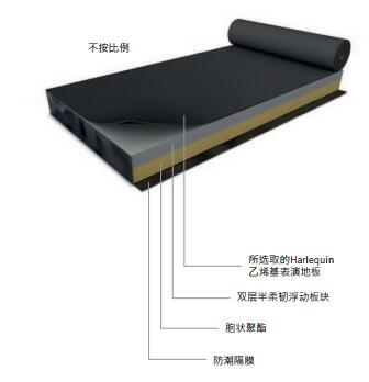哈立群Activity彈性地板