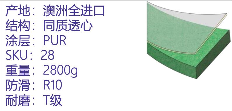 健麗龍結構圖